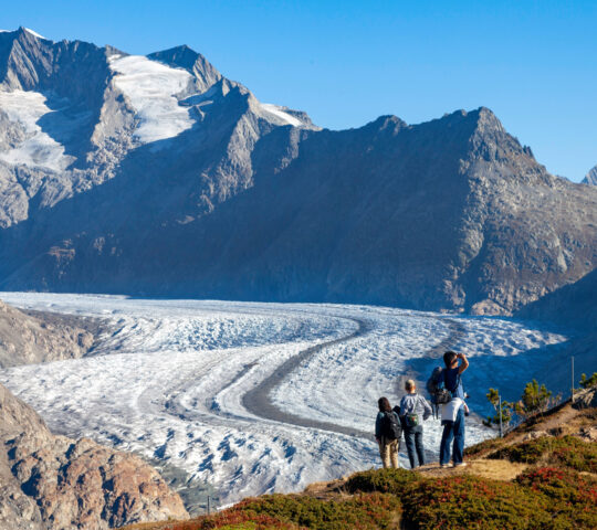 Aletsch Glacier