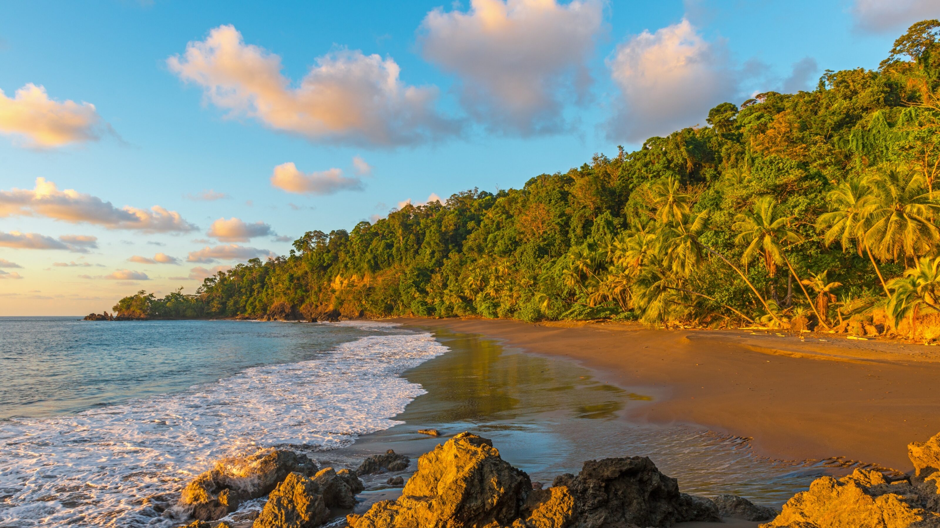 Remote Costa Rica: Highlands and Tropical Forests