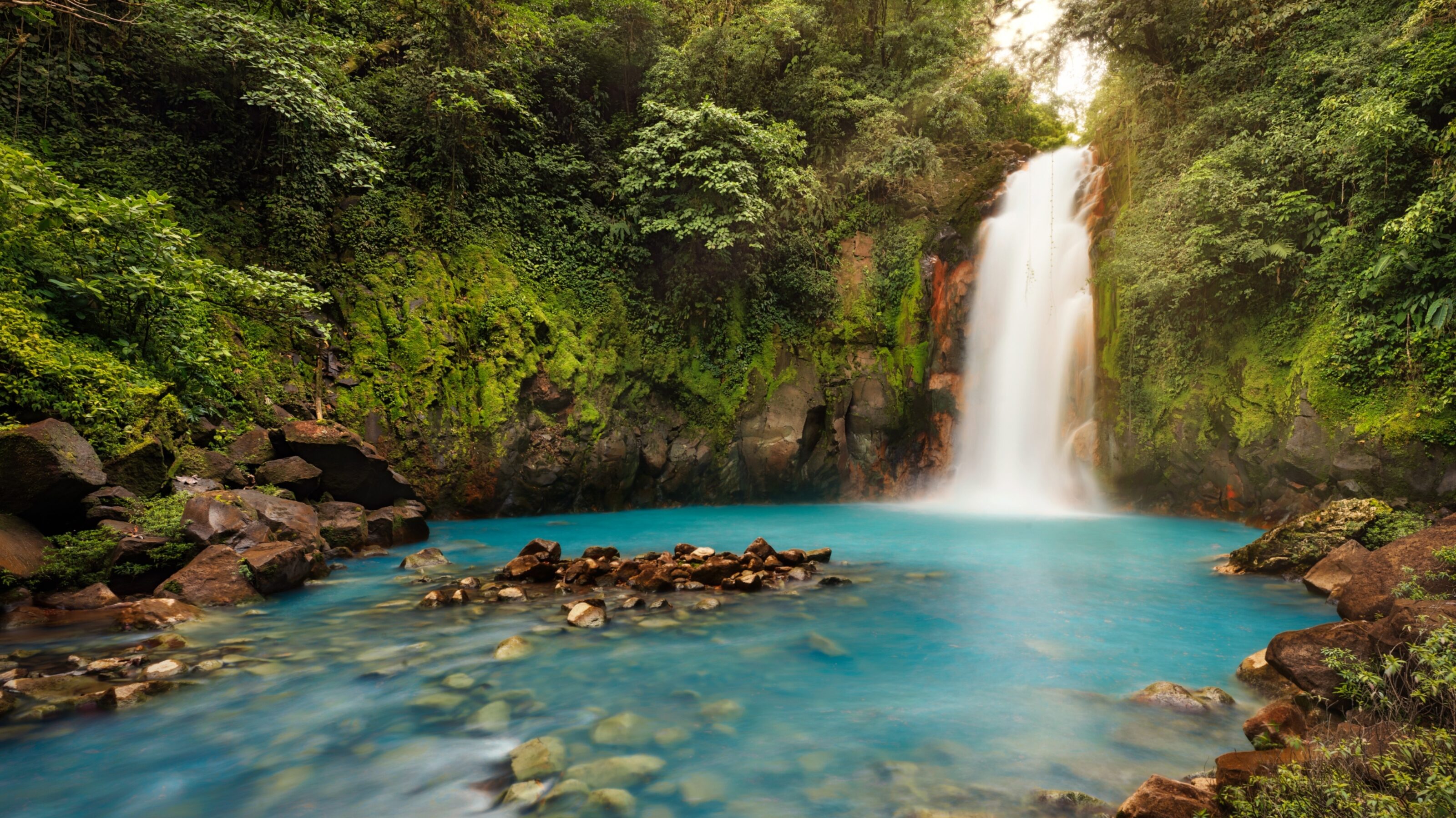 Remote Costa Rica: Highlands and Tropical Forests