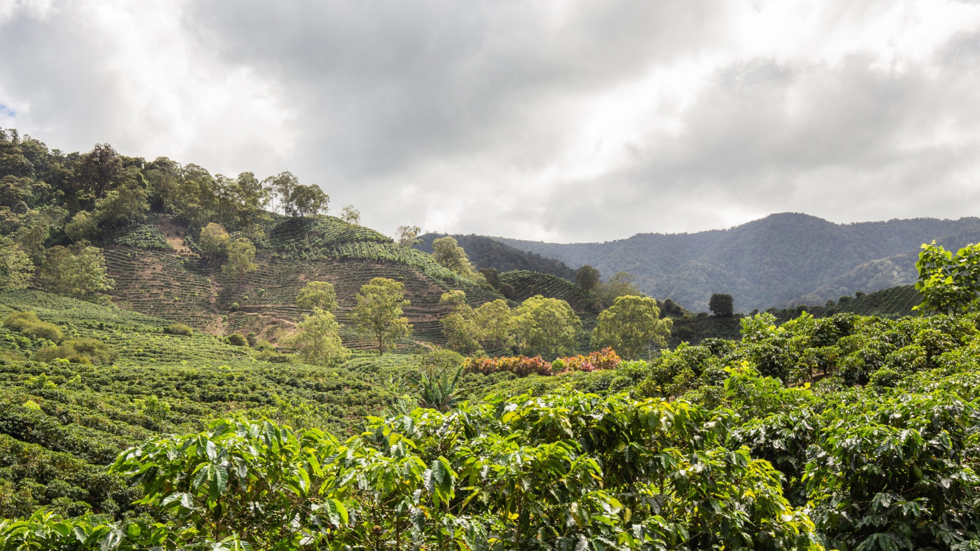 Remote Costa Rica: Highlands and Tropical Forests