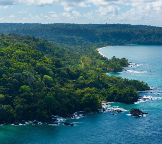 The lush vegetation of the Osa Peninsula
