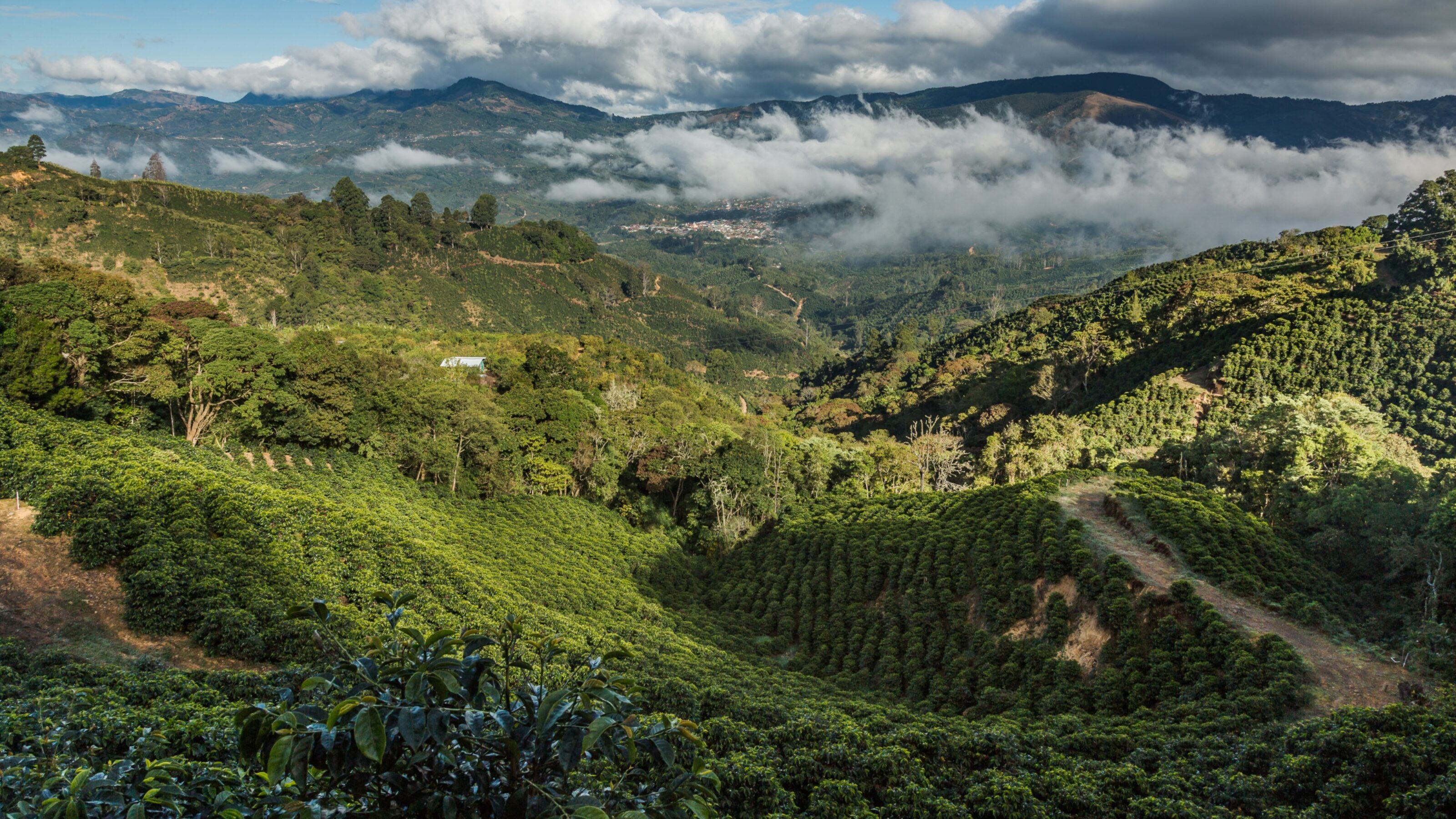 A Caribbean Wildlife Adventure in Costa Rica