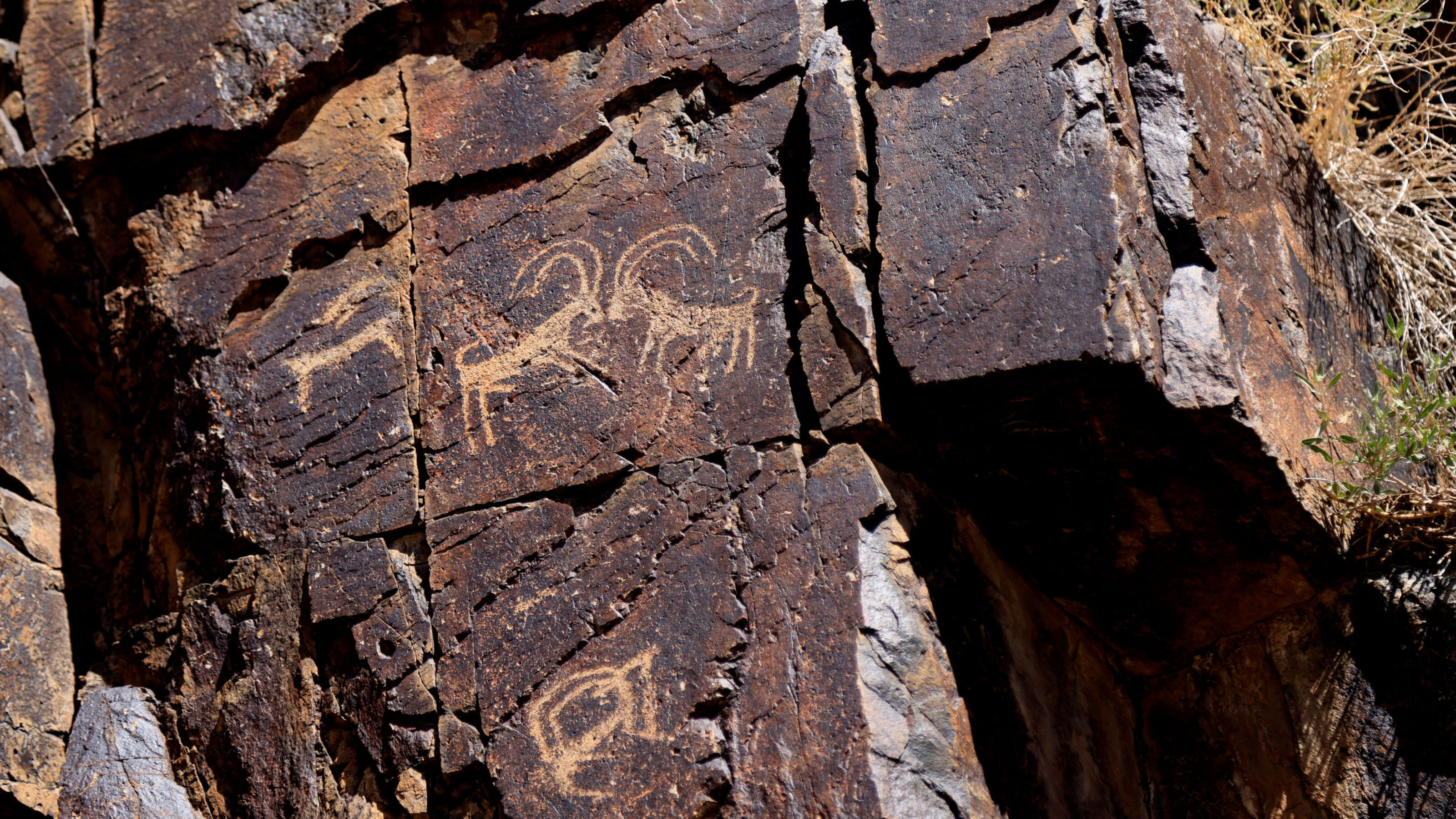 Explore Central and South Mongolia