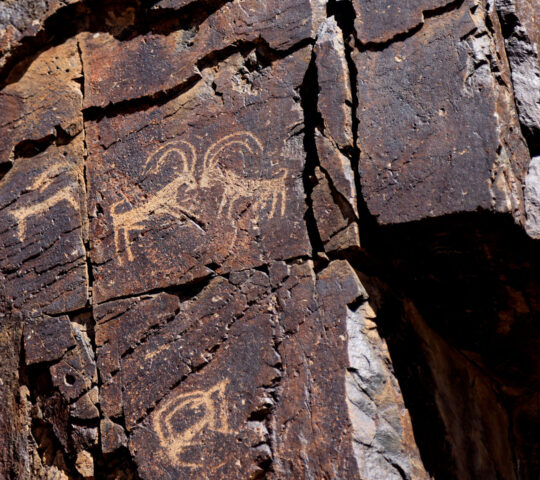 Havsgait petroglyphs