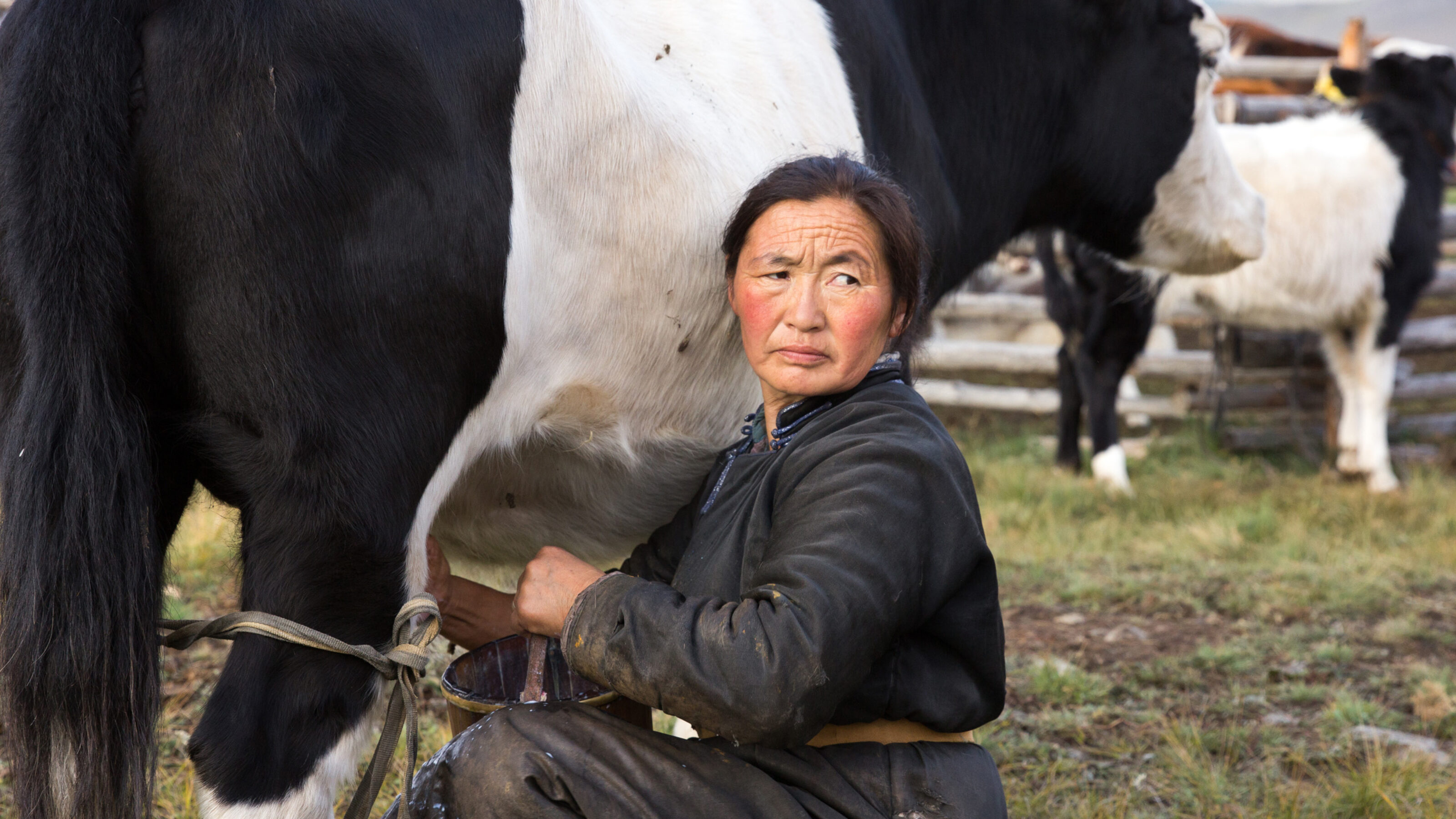 A Family Adventure in Mongolia