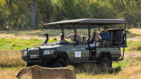 A game drive at Machaba Camp, Botswana