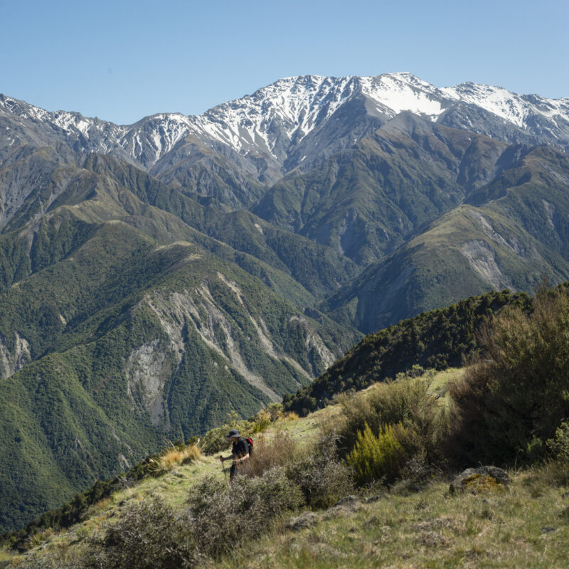 Hiking Mt Fyffe track with snow-capped mountain peaks in the background, Kaikoura, South Island. Vertical format.