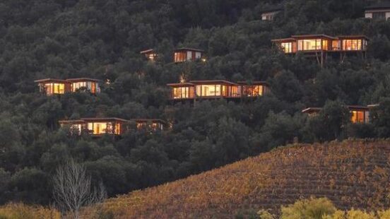 Lodges on a hillside at Clos Apalta Residence in Chile