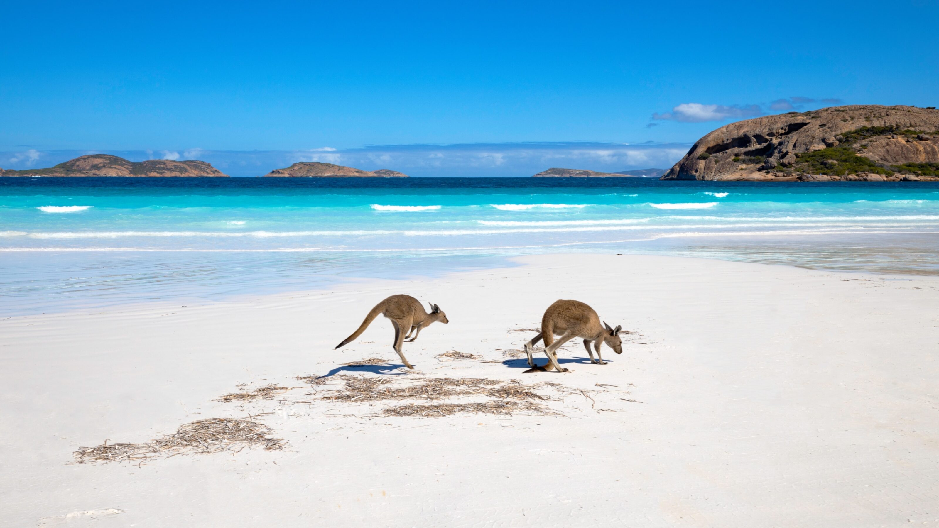 An In-depth Discovery of South Australia