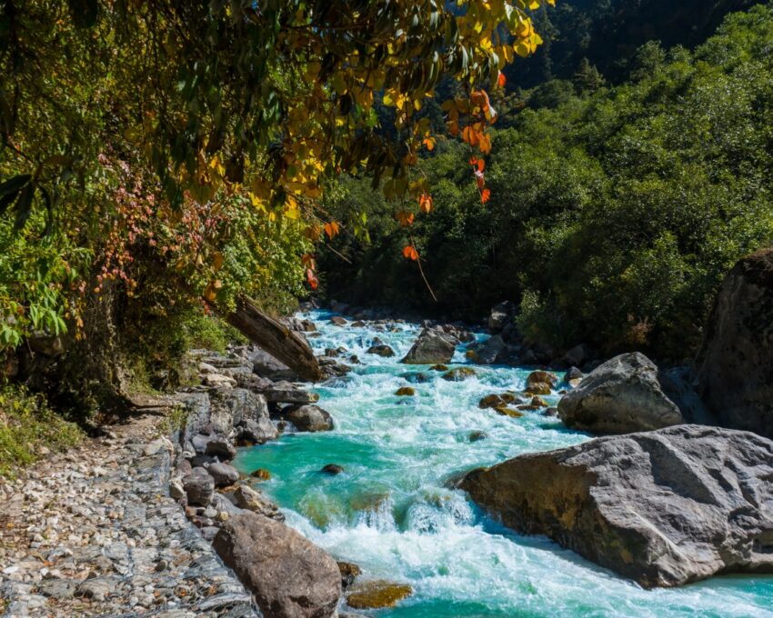 An immersive walk through the Himalayas