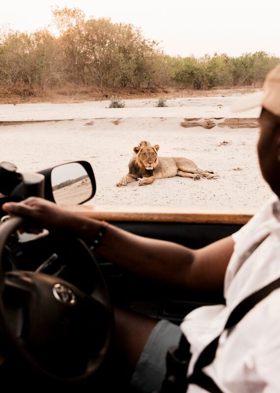 Human-wildlife conflict