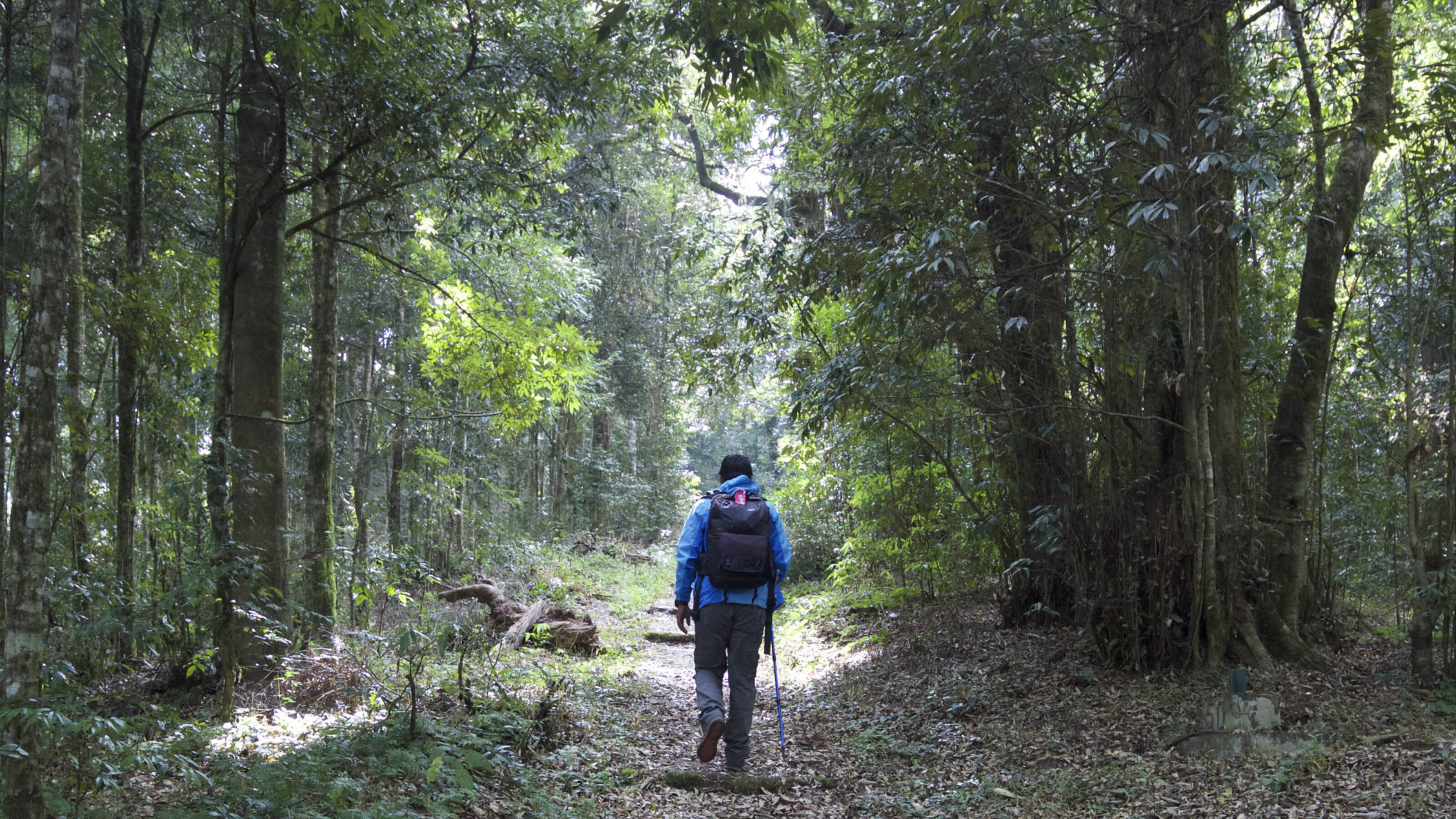 Hiking in the Himalaya
