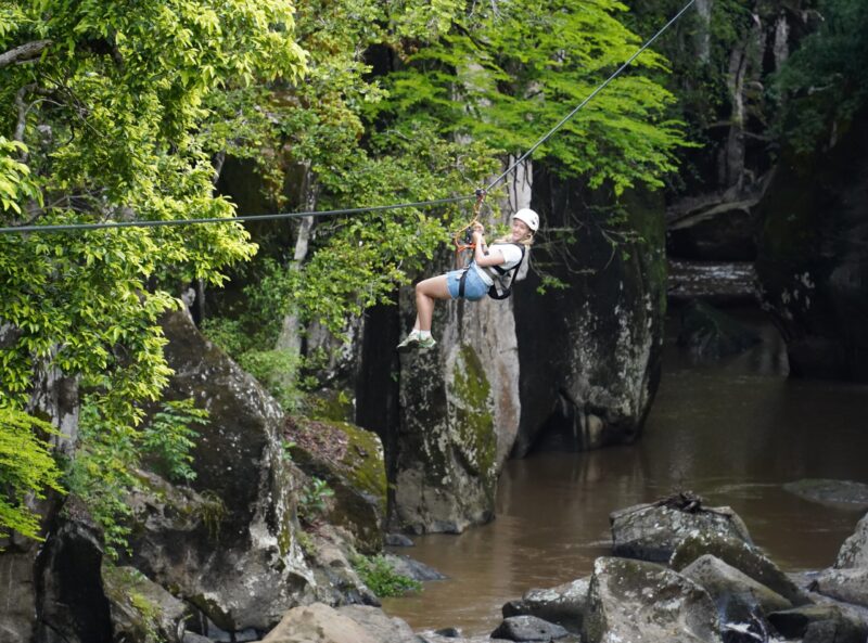 zipline in Jungle over water