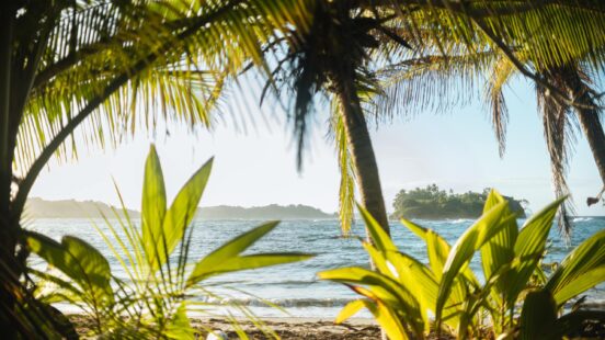 View of a sunny tropical beach and a distant island framed by large green palm tree leaves in the foreground.
