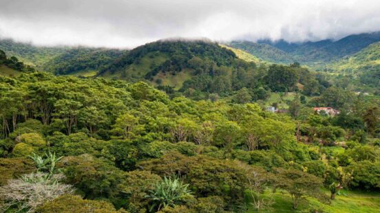 An aerial view of a dense green forest covering rolling mountains under a misty, overcast sky.