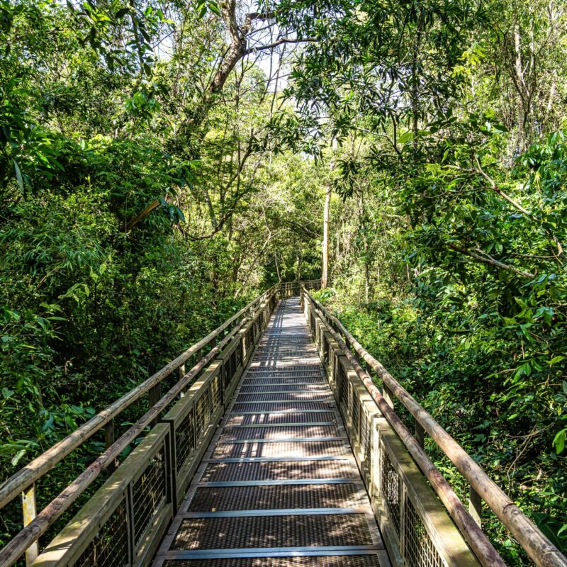 Path at Iguazu Falls, the largest series of waterfalls of the world, located at the Brazilian and Argentinian border, View from Brazilian side, one of the Seven Natural Wonders of the World SSUCv3H4sIAAAAAAAACnRSTU/DMAy9I/EfqpxX0TbdF0fOgLhPHNzErNHSZErSITTtv+M07ZQD3OL37OdnO9fHh6JgHXgl2HNxjRHFSuvRBwdBWUNwtZpxh0aiy5GL45sqB0DlEUoVrFOgc7CDIHoDAxJoRq0jfJtI5gOE0aOPXmZIQMAjaSTwLpEMH1JcLMREUgVR7J2kHLJVxvixi8wHuJNnC576/CPyMiotlTn6p1cwcpgK/1B8U16g1mDQjplyenzed3NEI36m2bKZHWqENPMhpbLTd0A35FuAUSqbLeBiBeiYwDOls1OCvGZlNvTTvZYyYUcTXLTAljGYtvYMnY7X+CJNXPAevKd0ueBZI0G/ww5ZH2PDNMCsyiQdLYY15021b7brTds2m2Zd8zkhHbpXpDPZWYQoFicl89FVdMCwWe8rzrGsm/2ubLdf23LXCijrrqIGTQfIa1r87RcAAP//AwD40sfC0QIAAA==