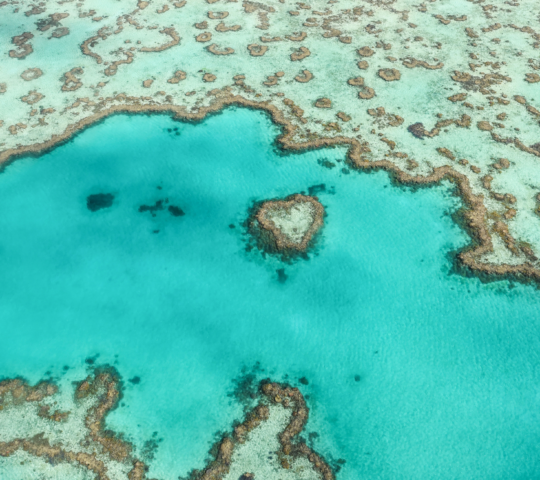 Whitsunday's Heart Reef