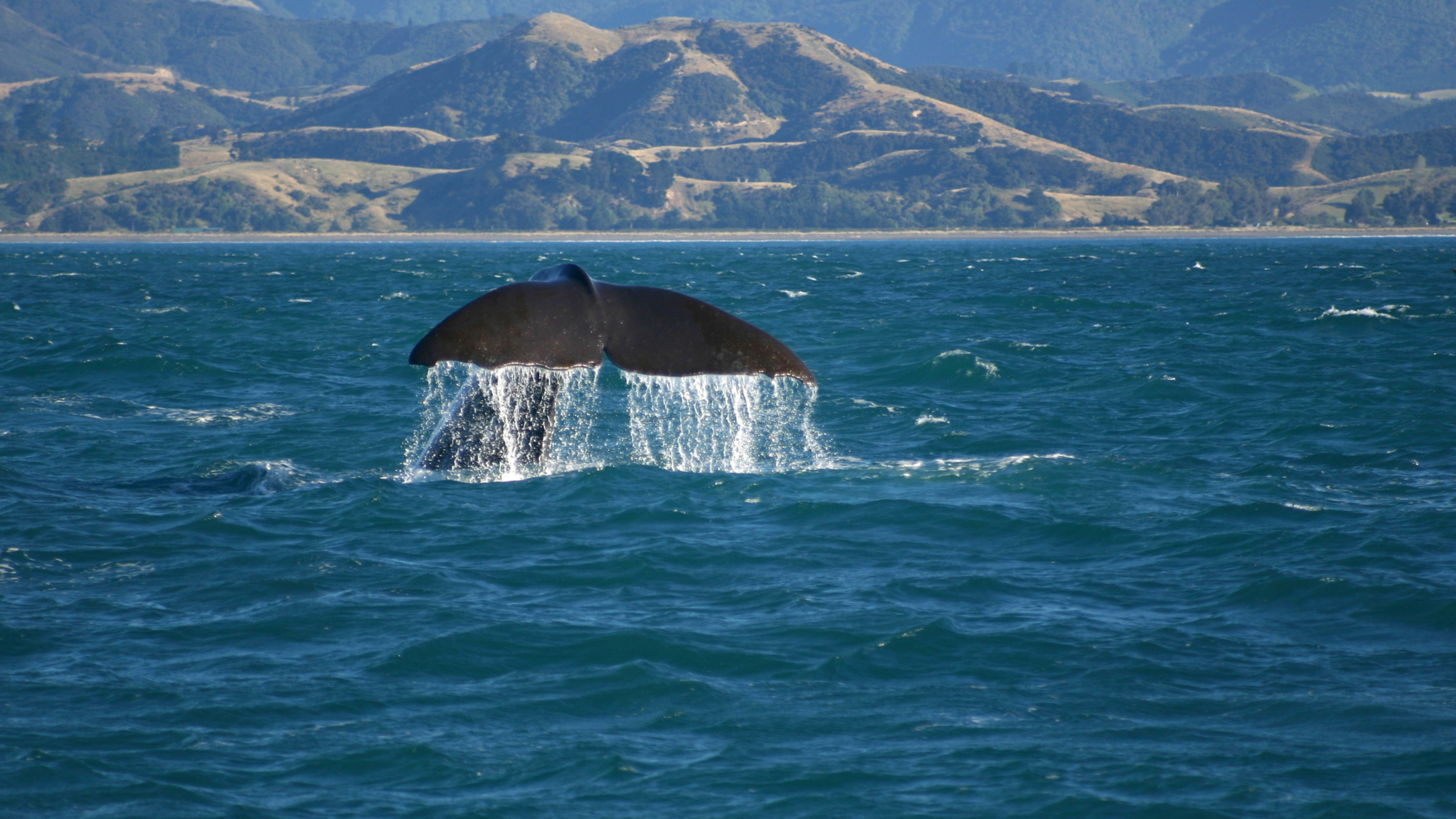 A Grand tour of Australia and New Zealand