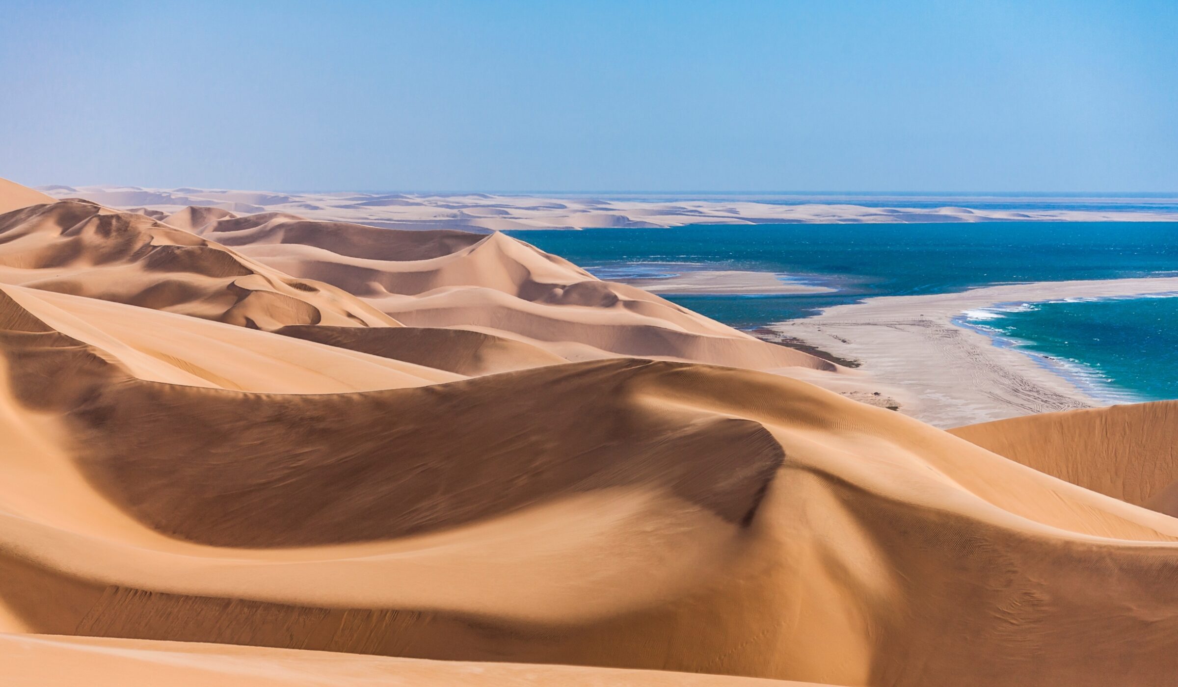 High angle view of rolling sand dunes bordering a blue ocean under a clear sky.