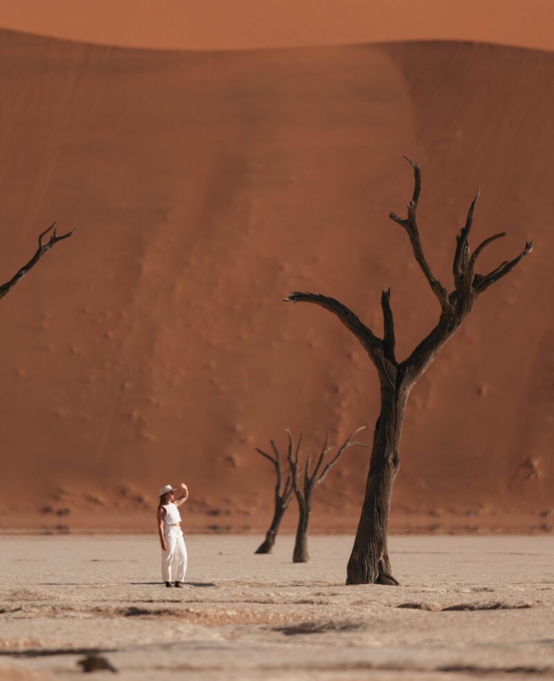 A person in white standing near a gnarled dead tree in a desert with a giant orange sand dune behind them.