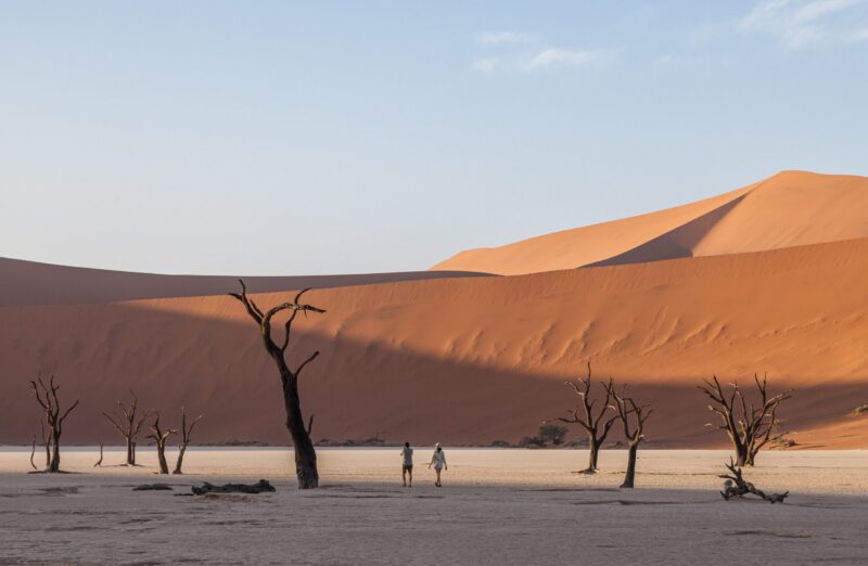 Silhouette of dead trees on a flat white plain with two people walking toward large orange dunes in the background.