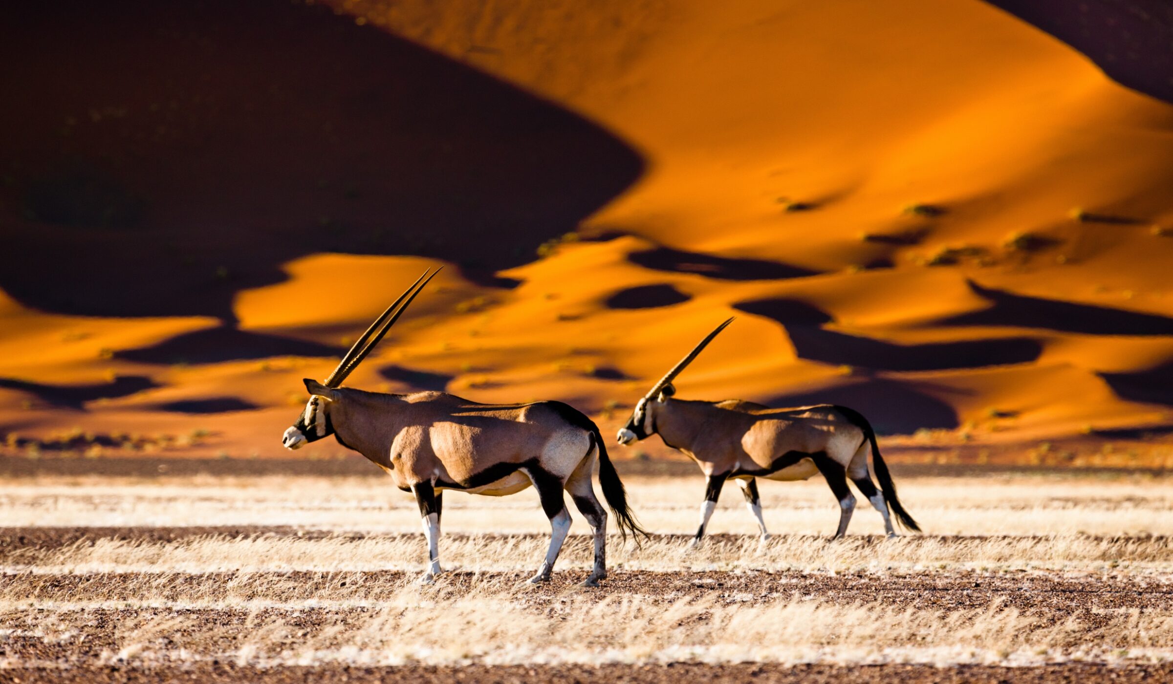 Sossusvlei