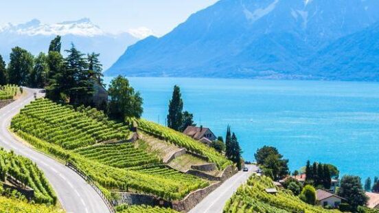 Green terraced vineyards and winding roads descend toward the bright blue lake with snow-capped mountains in the background.