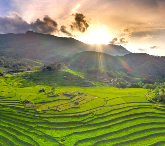 Take in the verdant views of rice terraces in Mai Chau