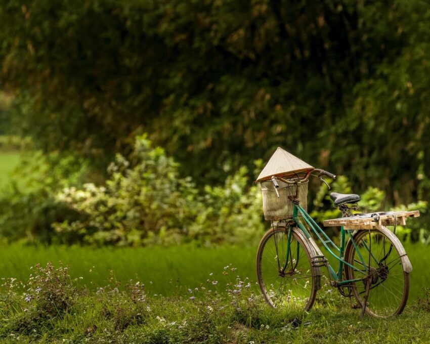 Cycle through Mai Chau
