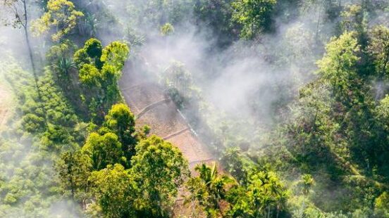 Aerial view of tropical rainforest in Sri Lanka
