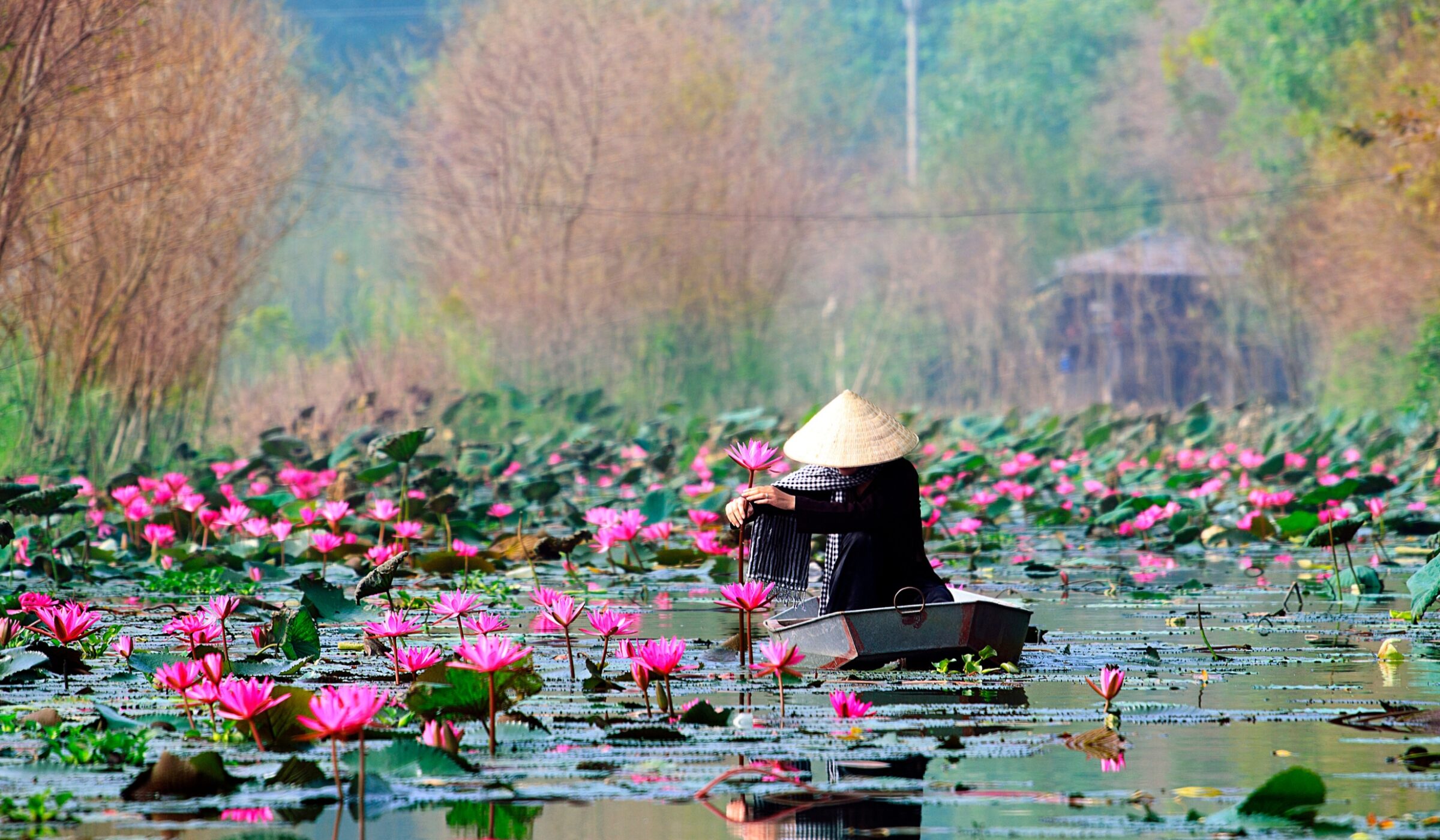Hanoi