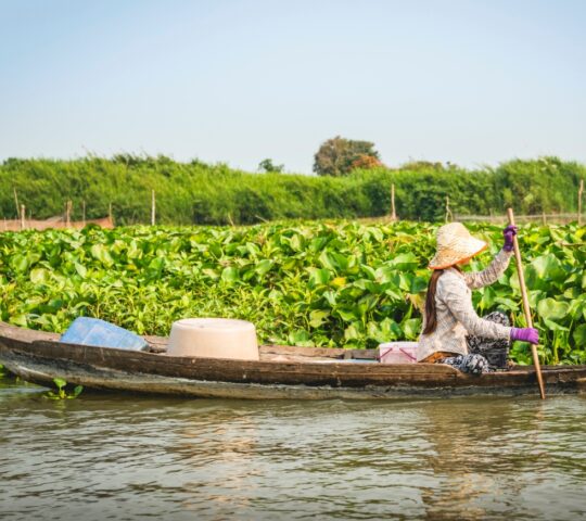 Explore remote communities around the Tonle Sap River