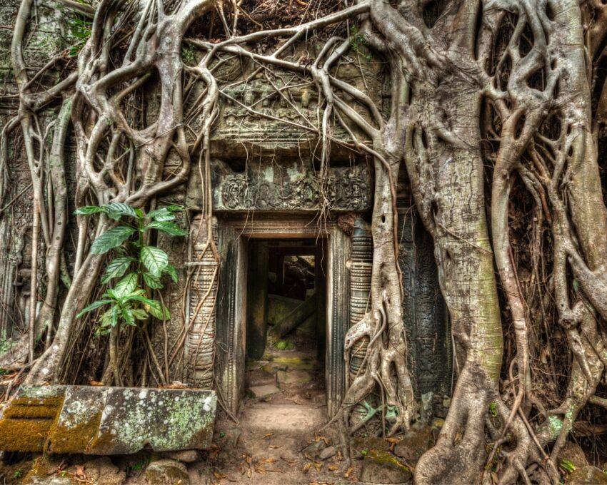 Angkor Temple Main Circuit Tour