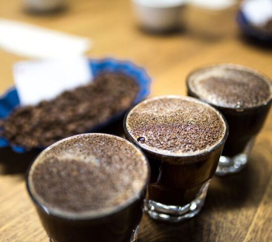 A fresh coffee tasting in Casco Viejo