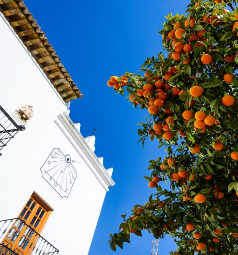 Square of Los Naranjos in Marbella, Malaga, Spain