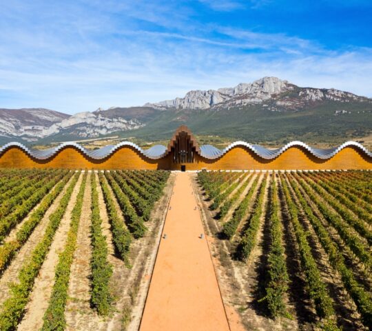 Marvel at the Ysios Winery in La Rioja