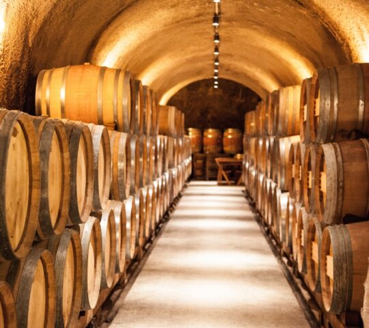Visit family-run wineries in Ribera del Duero