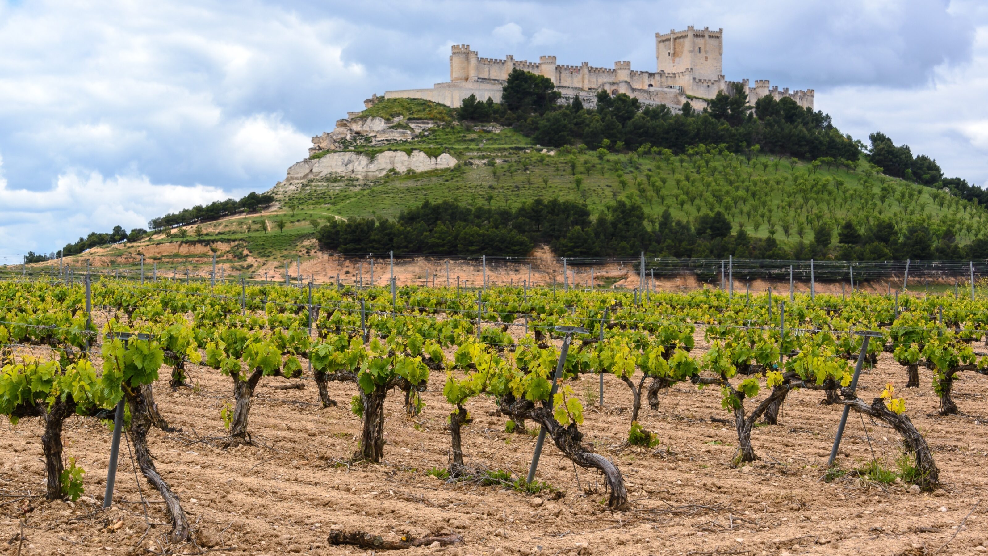 Discover the Flavours of Spain