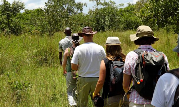 A line of people walking through tall green grass