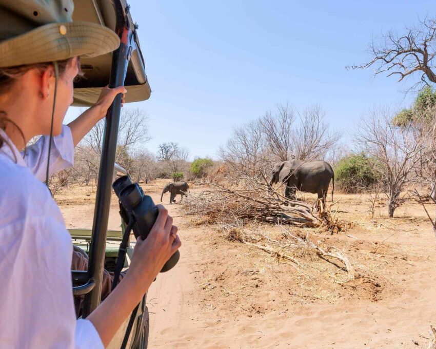 Days exploring Etosha