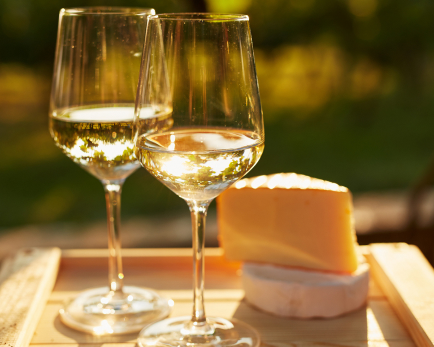 Privately guided tour of the Winelands