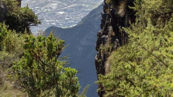 Platteklip Gorge, Table Mountain, Cape Town, South Africa