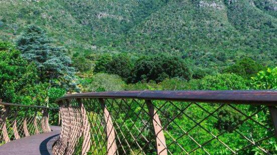 Elevated walkway with a view in Kirstenbosch botanical garden, Cape Town, leading to Skeleton Gorge