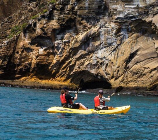 Adventurous travellers kayaking in the Galápagos Marine Reserve