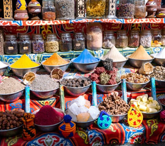 Exploring a traditional Nubian bazaar