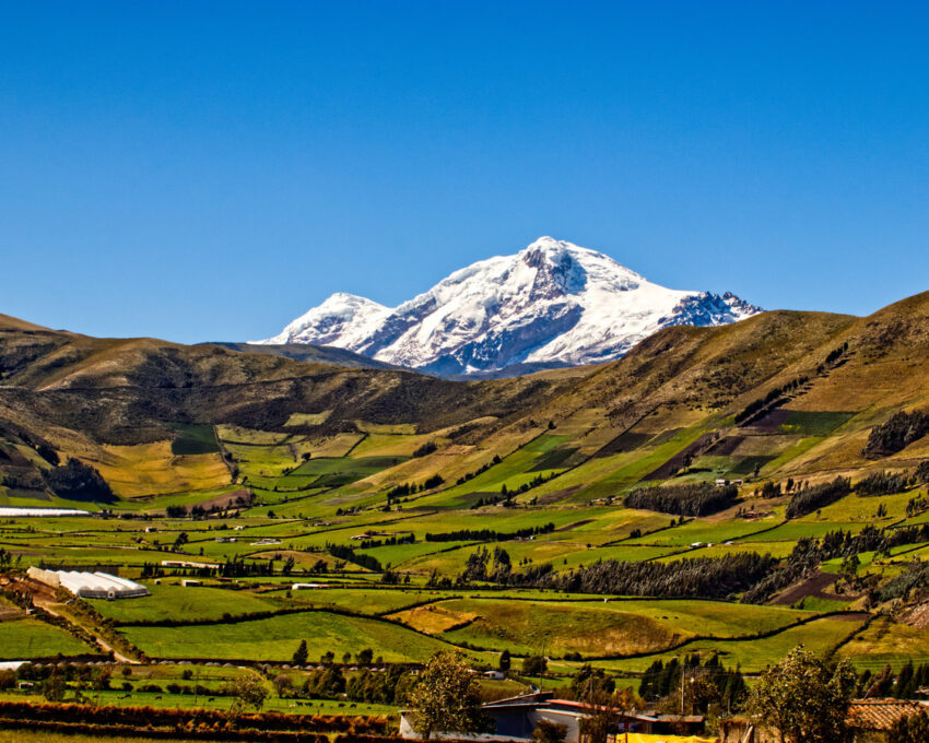 Pass by rose farms and markets as you transfer to Otavalo