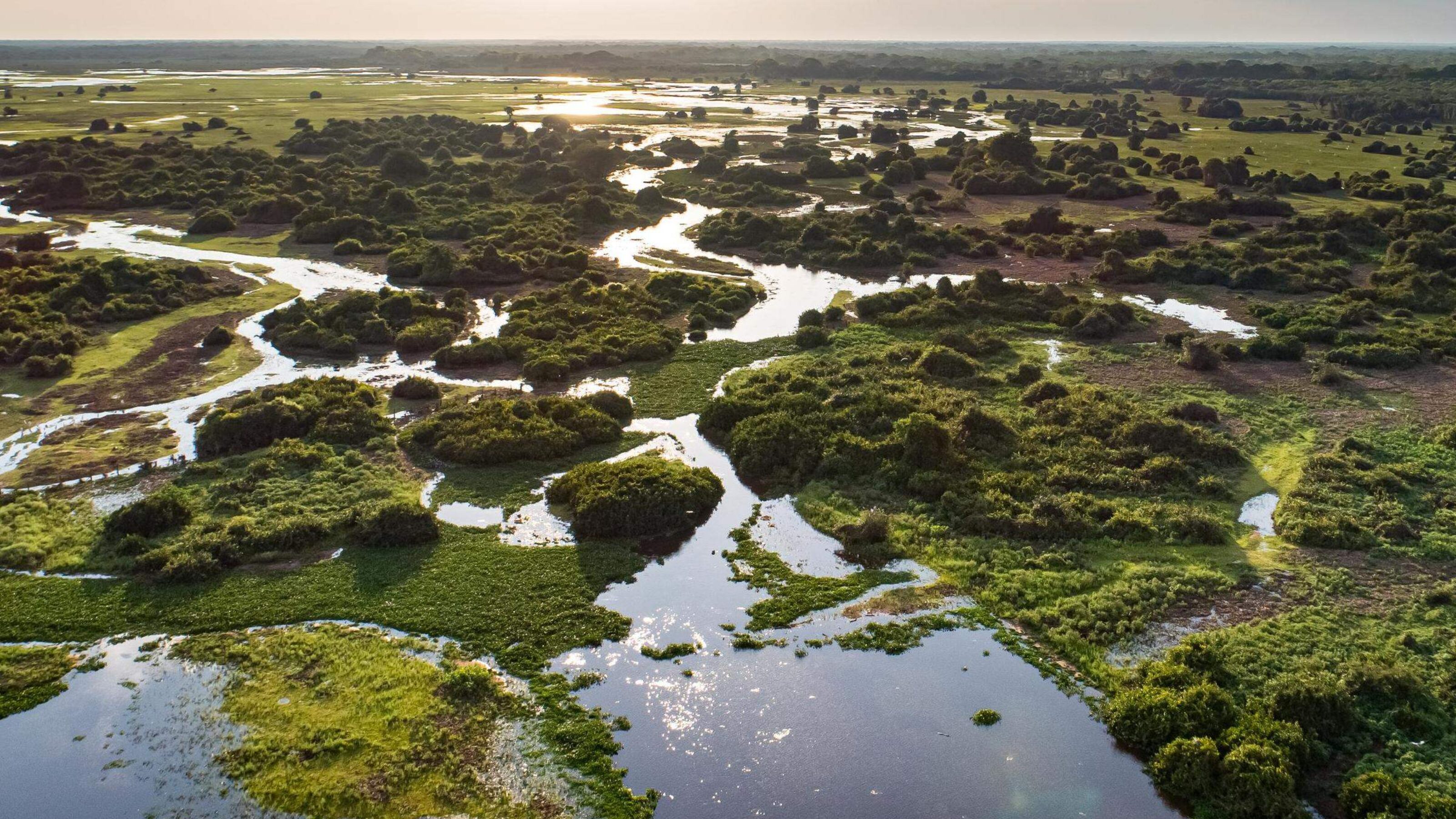 Natural Wonders of Brazil