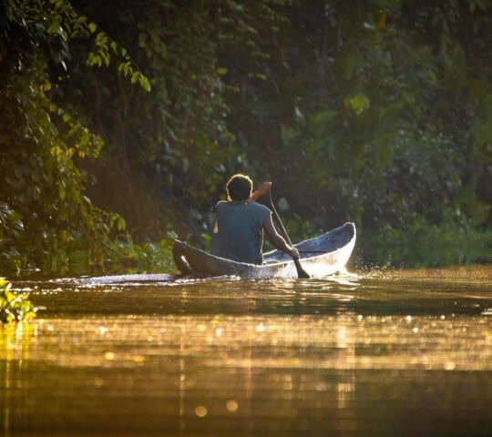 A traditional wooden canoe meanders along a swollen river