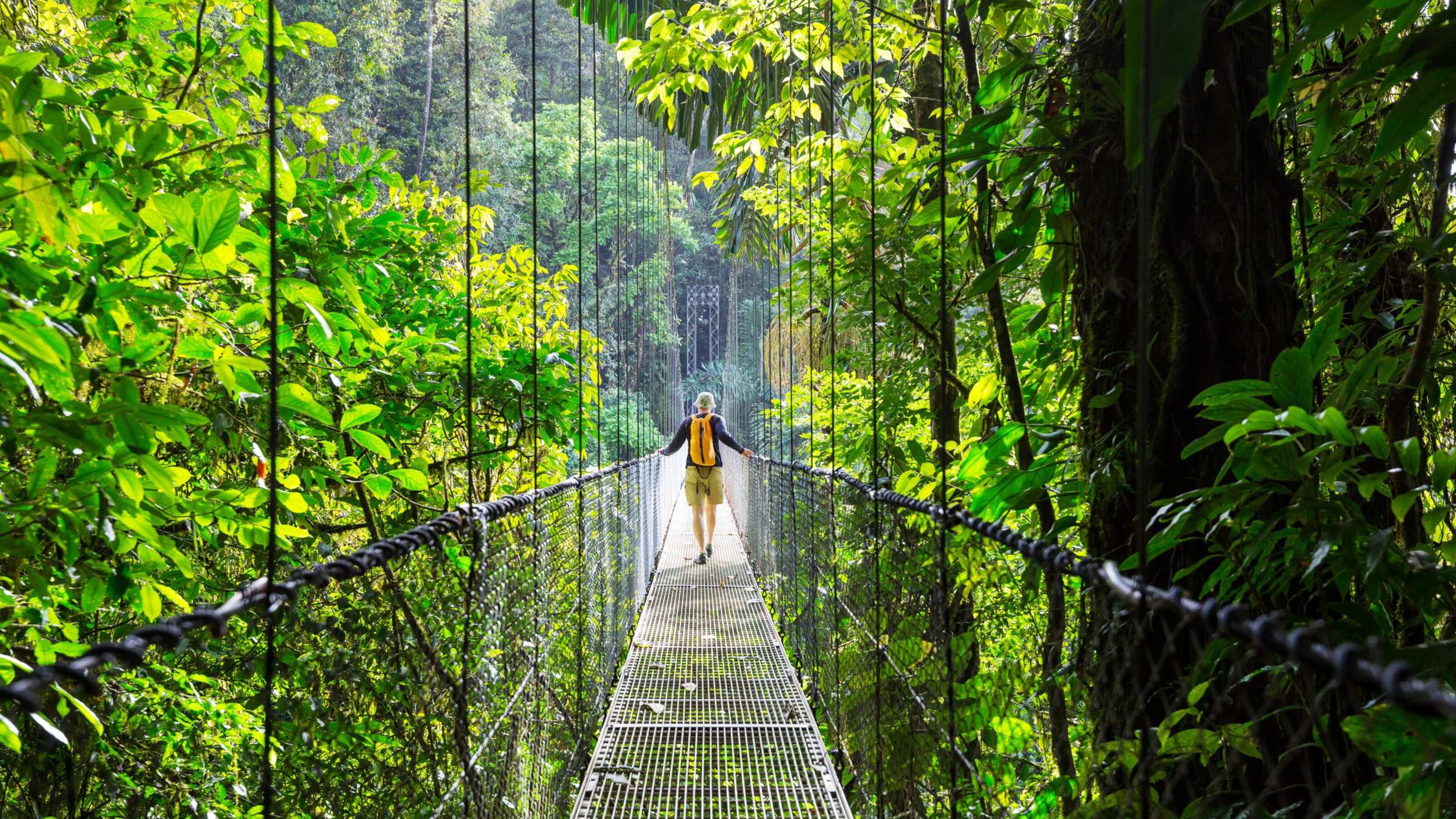 The Perfect Costa Rican Honeymoon