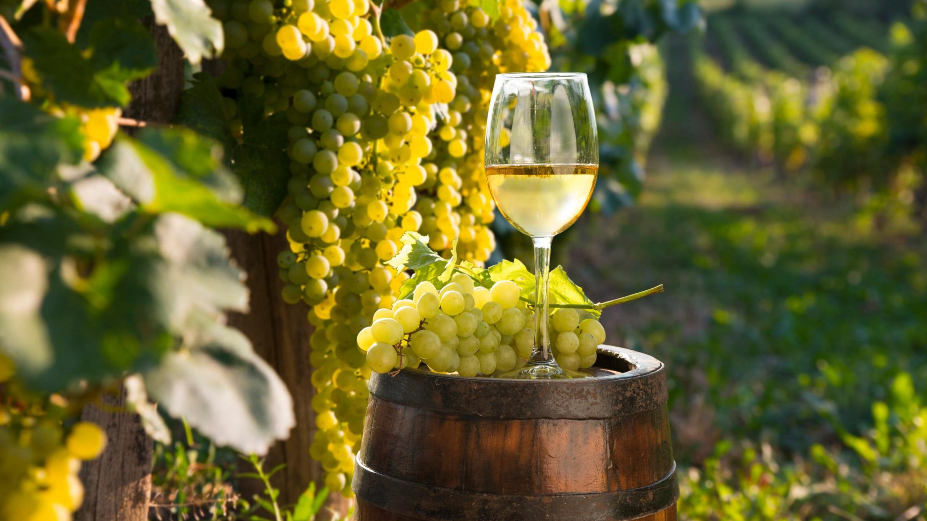 A Foodie Adventure through Tuscany
